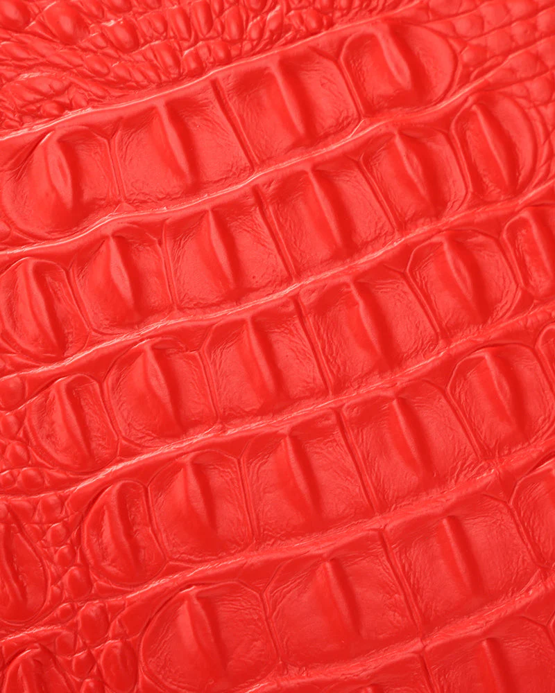 Statement 2-Piece Luggage Set in Red - Image 19